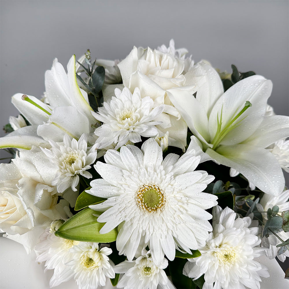 Heavenly White - Box Arrangement (Seasonal)