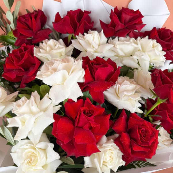 24 REFLEXED RED AND WHITE ROSES 1