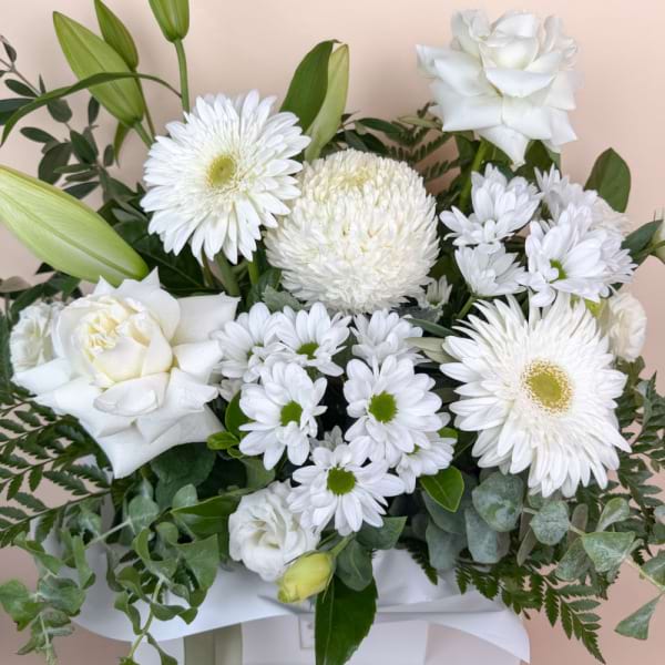 Heavenly White 2