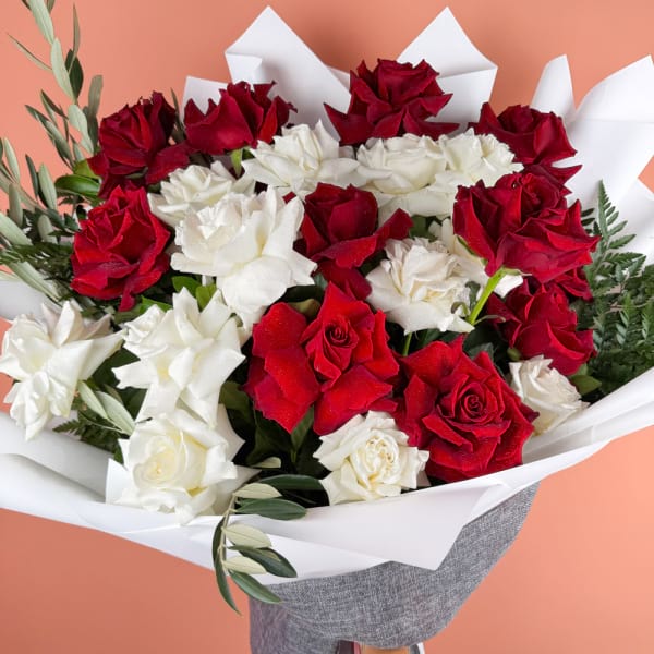 24 REFLEXED RED AND WHITE ROSES 2