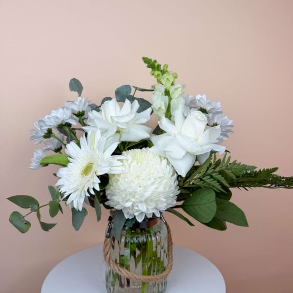 soft ivory 1