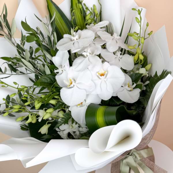Timeless White 4