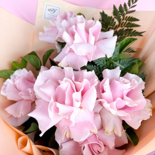 6 pink reflexed roses 1