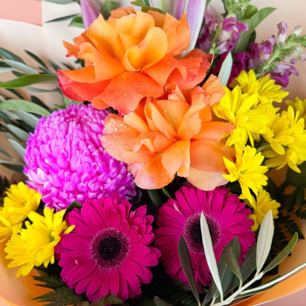 Bold and bright 1