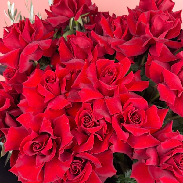 24 reflexed red roses bouquet 2