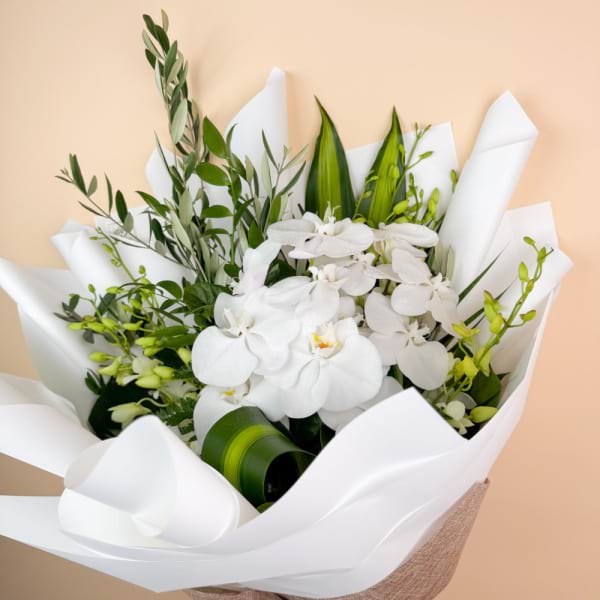 Timeless White 5