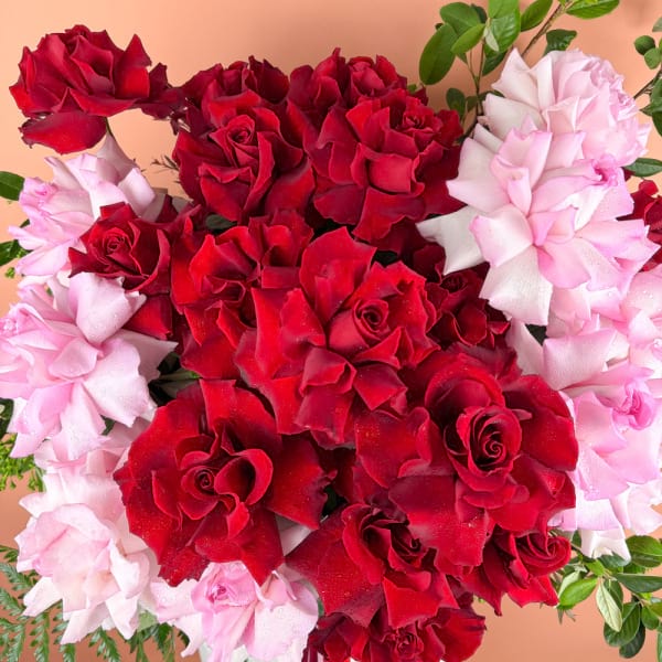 28 Red & Pink Roses Pot Arrangement 2