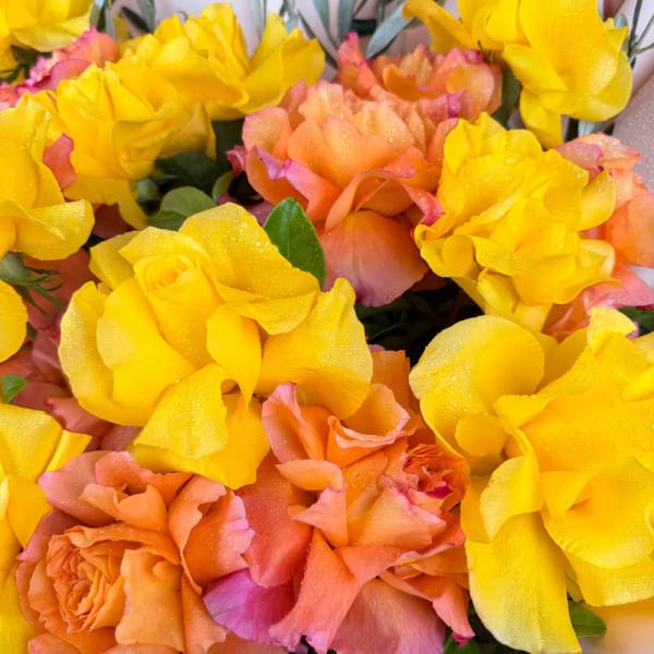 24 reflexed orange & yellow roses